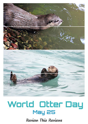 Image of otters swimming