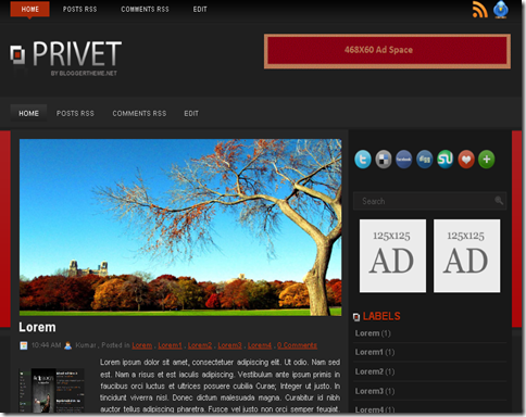 Privet Blogger Template
