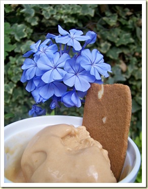 glace aux speculoos