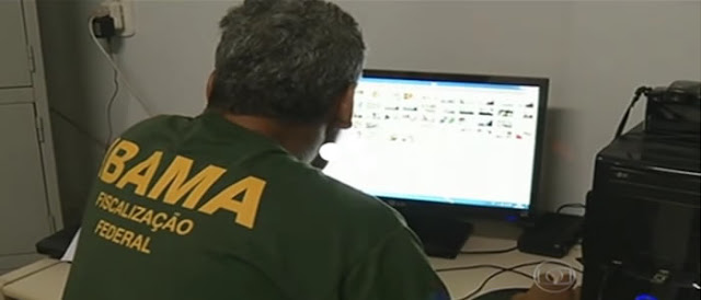 Hackers era contratados para invadir computadores de dois superintendentes do Ibama.