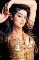 Shriya Stylish spicy stills