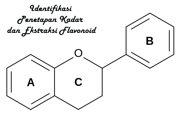 Identifikasi Penetapan Kadar Dan Ekstraksi Flavonoid flavonoid adalah identifikasi flavonoid penetapan kadar flavonoid ekstraksi flavonoid sumber-sumber flavonoid flavonol  flavanoid  vitamin  flavonoid structure  bioflavonoids  flavonoids foods  flavonoids supplements  flavonol  flavonoids sources  flavonoids benefits  flavonoids health benefits  lipoflavonoid  cocoa flavonoids  chocolate flavonoids  flavonoid rich foods  flavonoids in food  flavonoids chocolate  marietidsel  bioflavonoids foods  bioflavonoids supplements  vitamin c flavonoids  citrus flavonoids  flavonoids in tea  flavonoid quercetin  flavonoids in chocolate  what foods have flavonoids  flavanoid  dietary flavonoids  flavanol antioxidants  best flavonoids supplements  flavonoids antioxidants  quercetin flavonoid  foods with flavonoids  kegunaan flavonoid