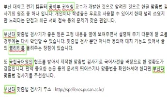 구글 크롬 맞춤법 검사기 사진입니다