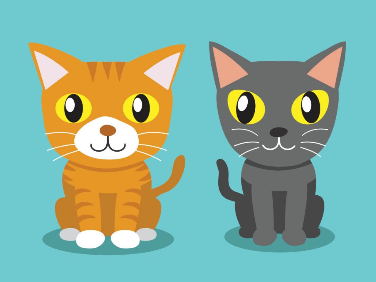 Gambar Kucing Comel dan Manja Anak Kucing Lucu dan Paling 