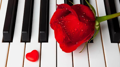 Piano con una rosa roja