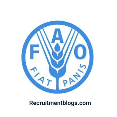 Food Safety And Quality Officer At The Food and Agriculture Organization Of the  United Nations  (FAO)