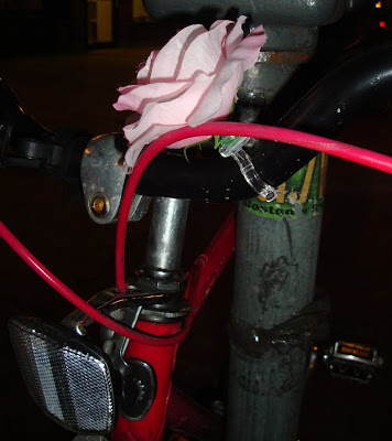 rose on a bike