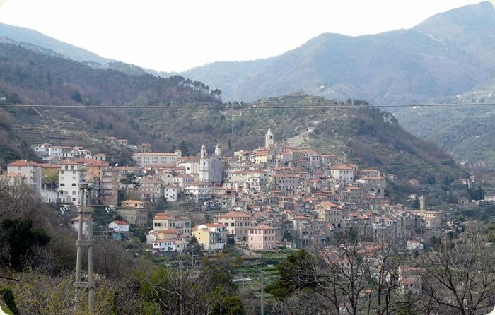 Ceriana