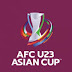  Ini Daftar Negara Semi Finalis Piala Asia U-23 2024