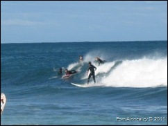 IMG_0016 IMG_0016