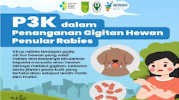 Dinkes Inhil P3K Dalam Penanganan Gigitan Hewan  Penular Rabies