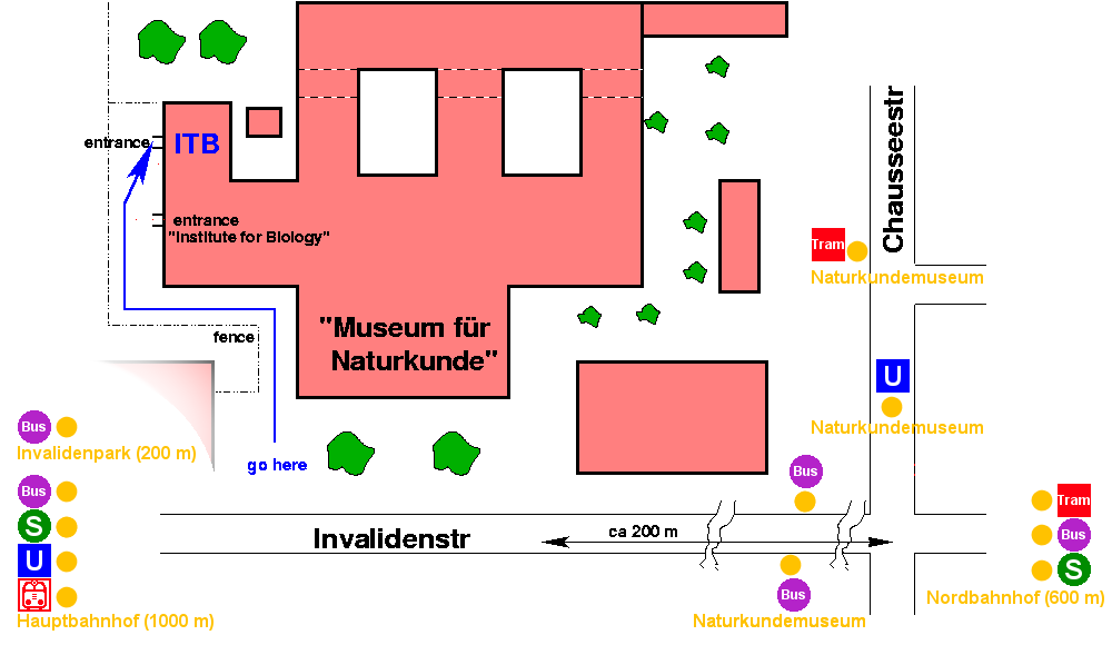 Institute for Theoretical Biology Berlin at Invalidenstraße 43