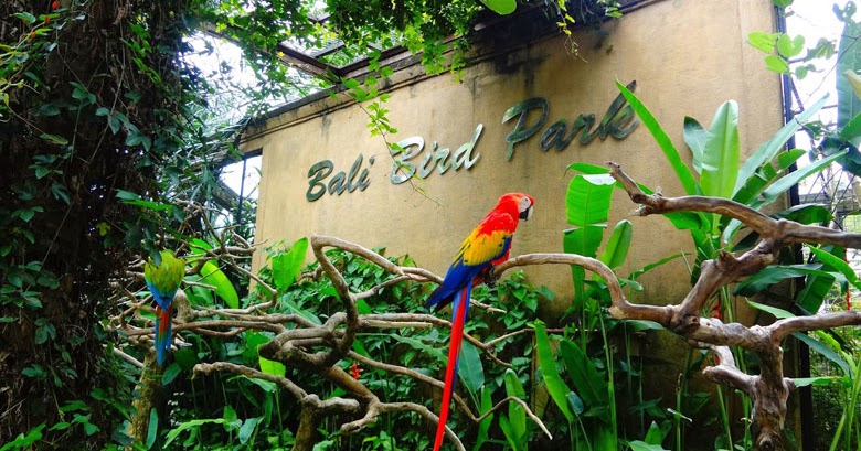 Five Art Studio and Gallery Ubud: Bali Bird &amp; Reptile Park