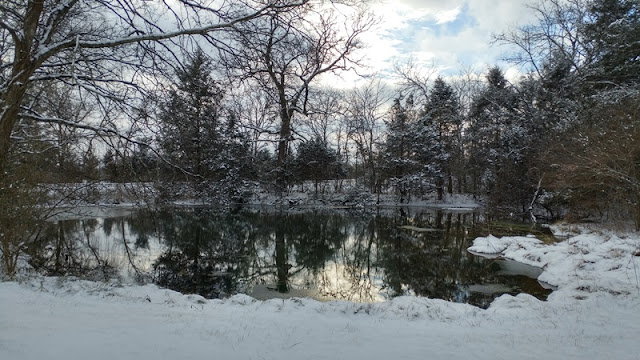 snow day nature walk to our pond