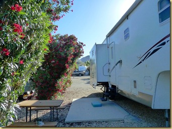 2011-04-21 -5- AZ, Ajo, Shadow Ridge Campground (1)