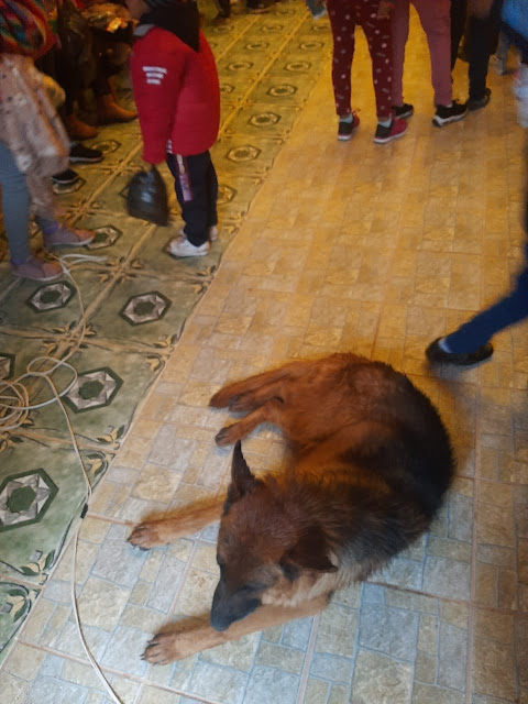 Auch der Schäferhund vom Pastor sucht Kirchenasyl