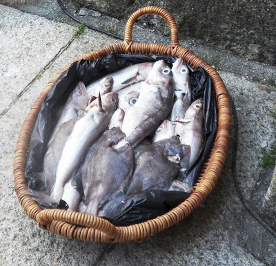 Basket of fish