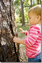 IMG_6582 IMG_6582