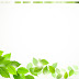 A set of green leaf PPT background images