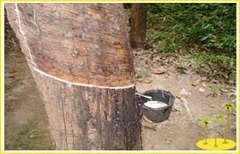 image096[1]