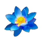 Utopia Origin Blue Lotus