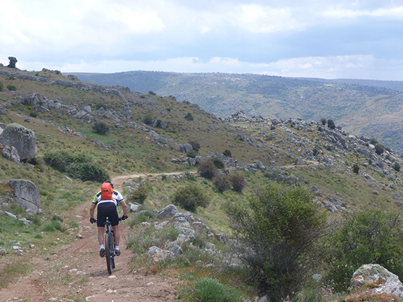 Unas fotos de nuestra ruta de Ávila a El Escorial - Junio 2013