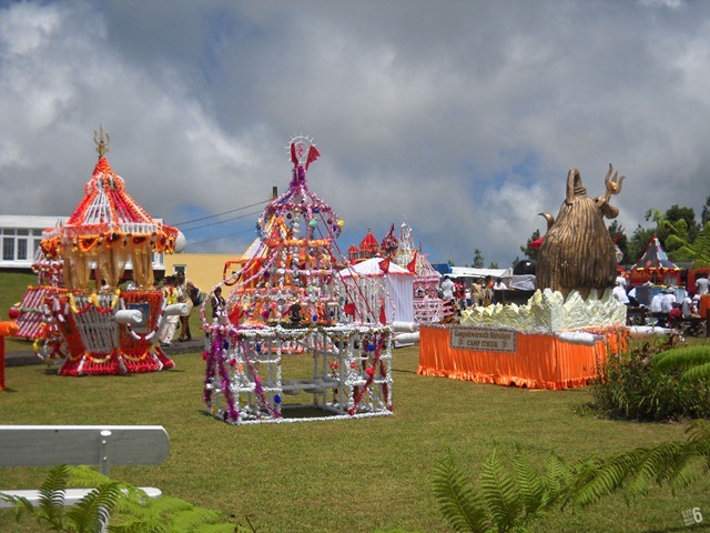 DSCN0213