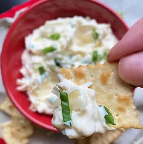 3 Ingredient Swiss Cheese dip