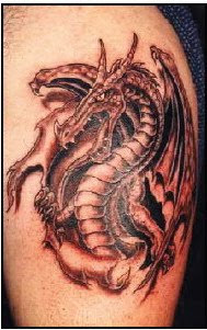 dragon tattoos design