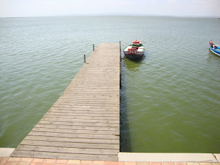 Lonely Boat in a big dock - El Saler - Valencia