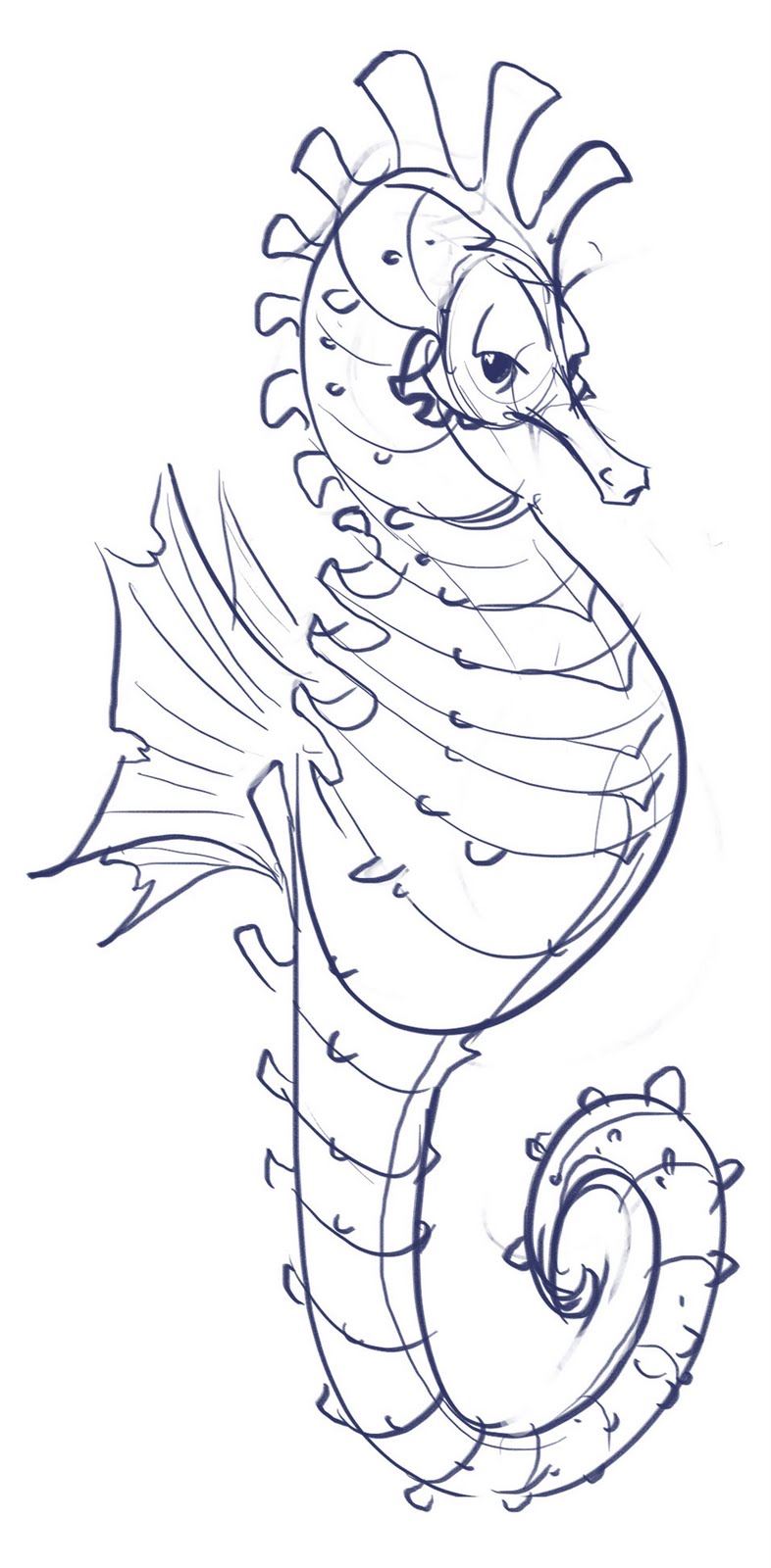 Steph Dere Art Blog: Seahorse Sketch