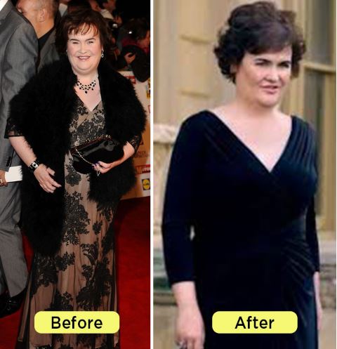 melissa mccarthy weight loss photos