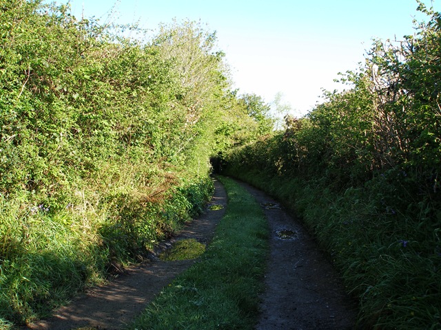 5th_may_08