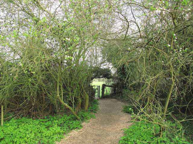 The gate leading out of the Orchard Tea Gardens