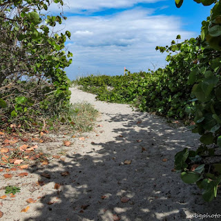 dirt path photo by mbgphoto