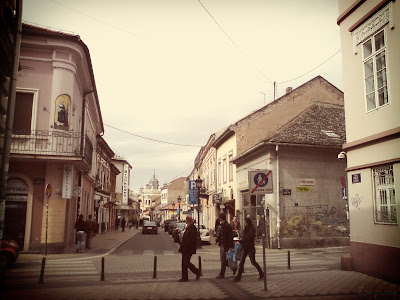 slike, nikola pašić, matica srpska, center, photo