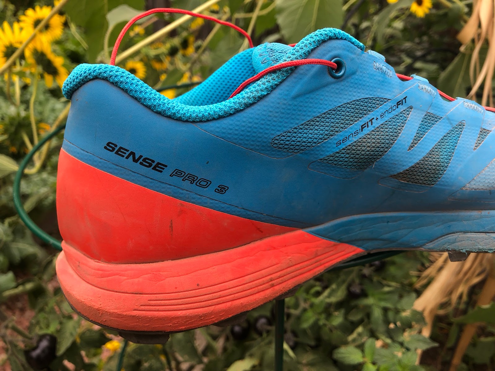 Road Trail Run Salomon Sense Pro 3 Review Road Trail Run Salomon Sense Pro 3 Review
