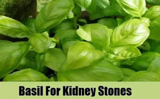 Your kidneys will relieve the leaves of this plant
