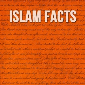 Facts About Islam In The World