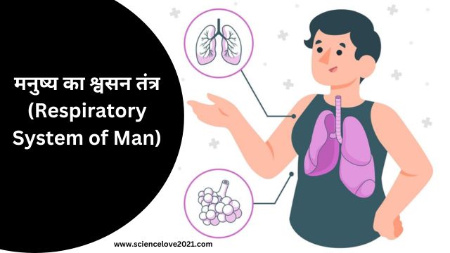 मनुष्य का श्वसन तंत्र (Respiratory System of Man)|hindi