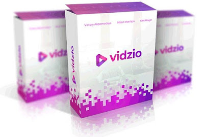 VidZio Pro Review