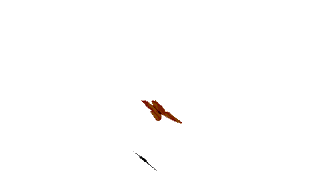 ảnh động background