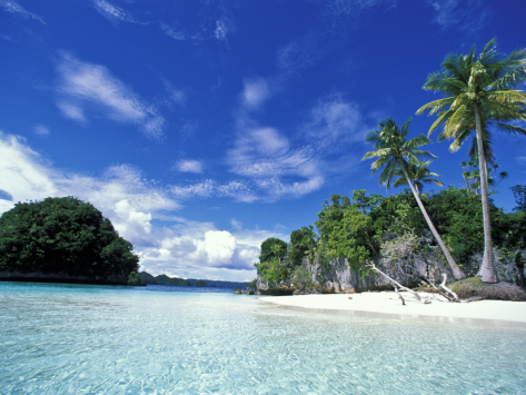 honeymoon beach, rock islands of palau, nest beach in the world?