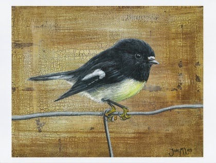 http://felt.co.nz/listing/196006/New-Zealand-Tomtit