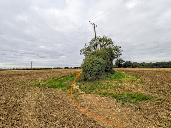 Continue on Bramfield footpath 8 with the trees on your right