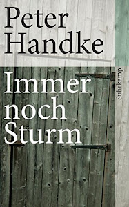 Immer noch Sturm (suhrkamp taschenbuch)