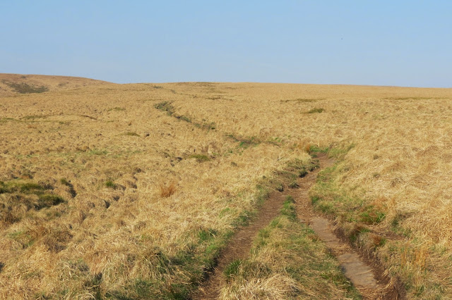 Another view of pale moorland stretching out beneath blue skies.