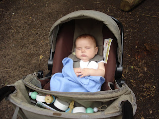 Baby Boy asleep in his pram in the woods
