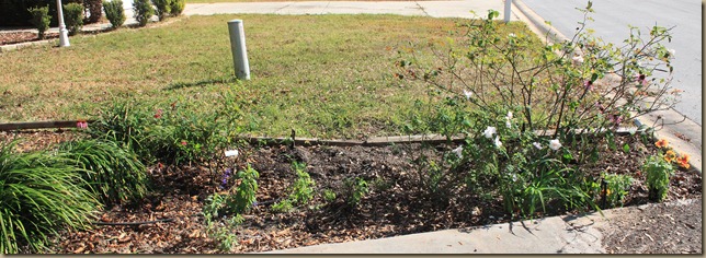 IMG_7127 IMG_7127