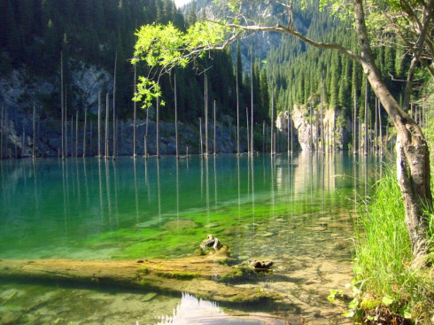 Hutan Di Kazakhstan, Ada Di Bawah Danau - Contoh Artikel 